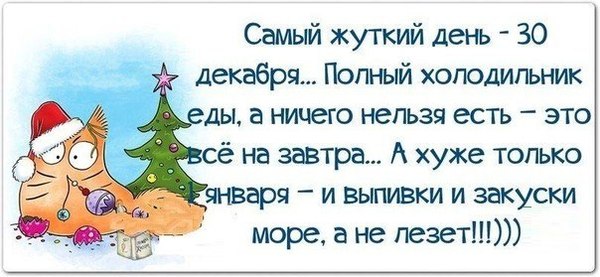 Смешные афоризмы о новом году Смешные афоризмы о новом году