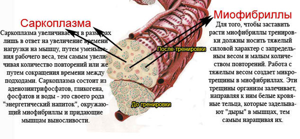 Творог на нем реально похудеть
