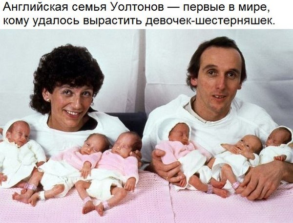 Фантастика 0_0 шестерняшки Фантастика 0_0 шестерняшки