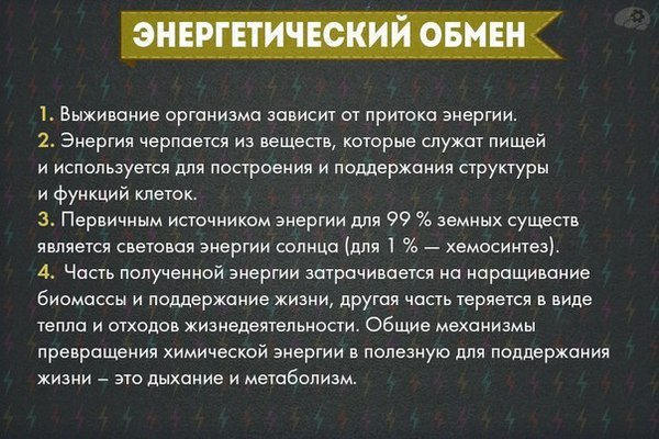 Отношения женщина-мать мужчина-ребёнок Отношения женщина-мать мужчина-ребёнок