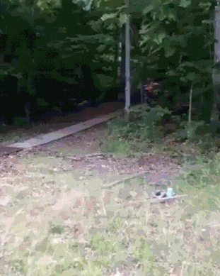 1496758206184874328.gif