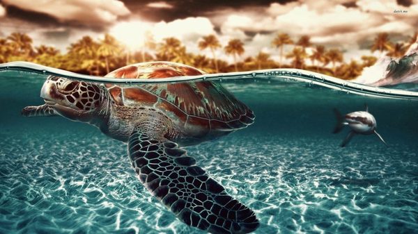 большие качественные обои на рабочий стол на морскую тему загрузить №119029 большие качественные обои на рабочий стол на морскую тему № 119028 без смс