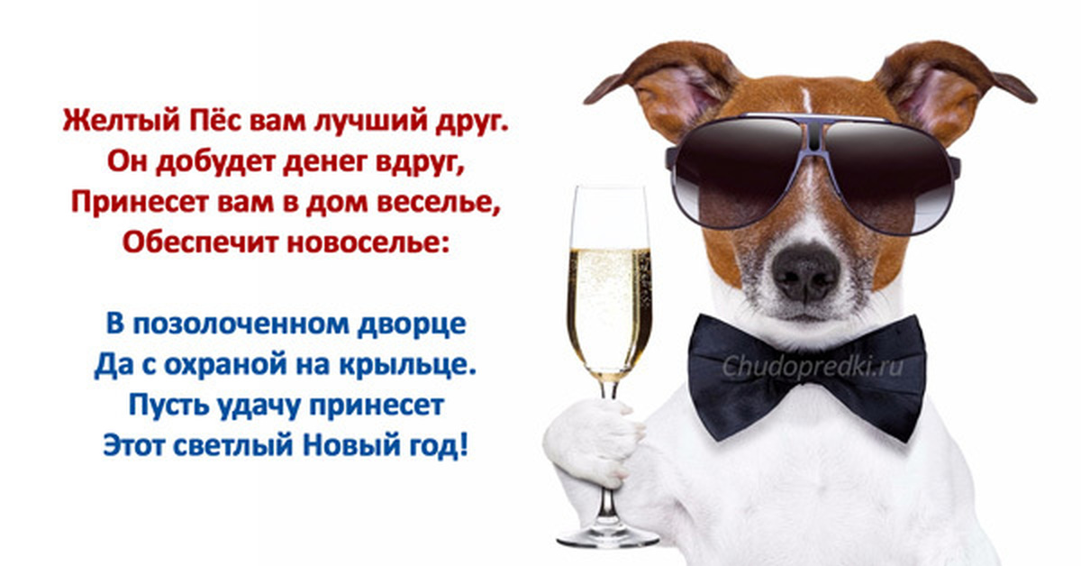 Поздравления С Днем Года Собаки