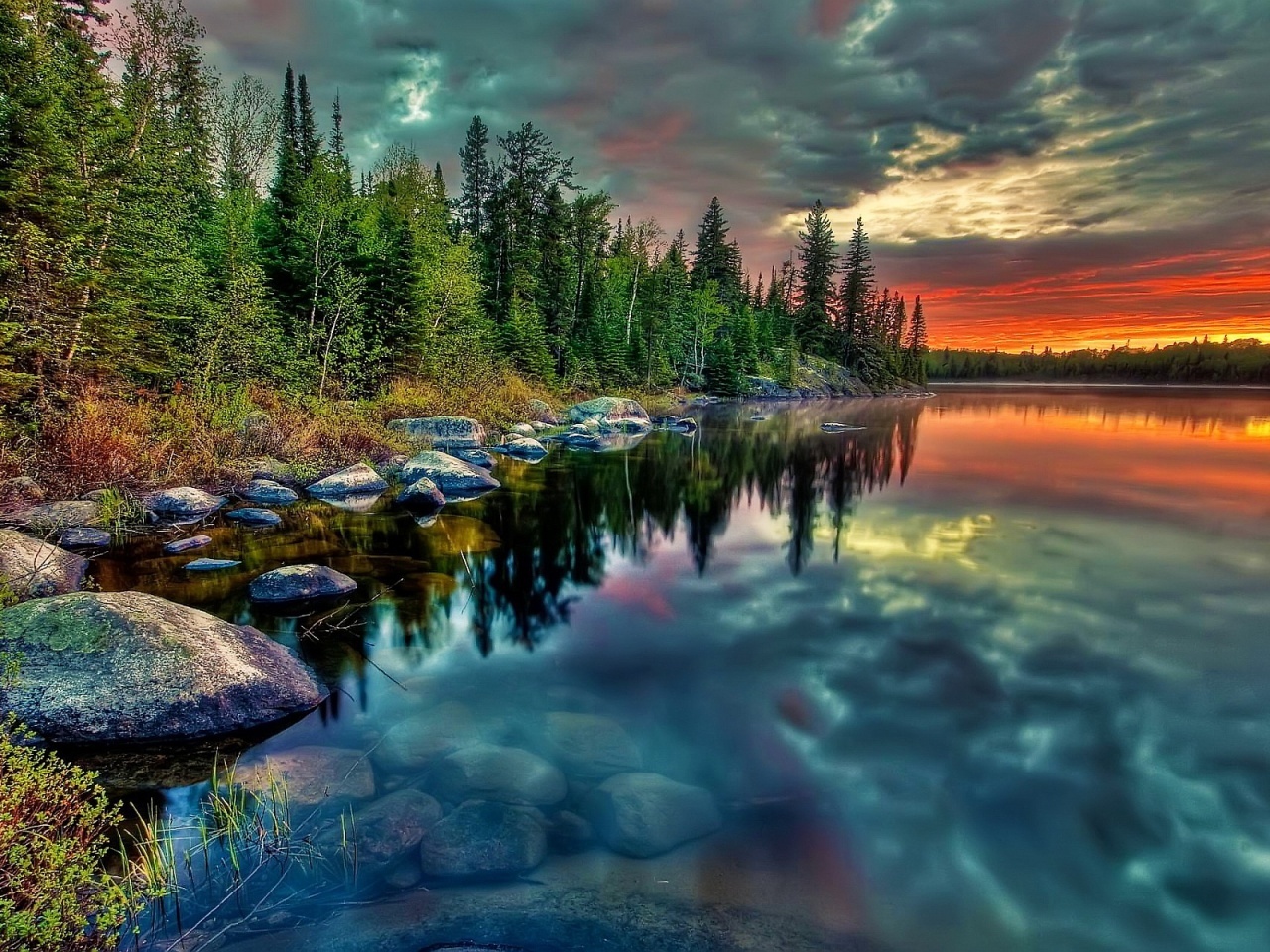 Картинки 1280960 qо природа и животные Картинки 1280960 qо природа и животные