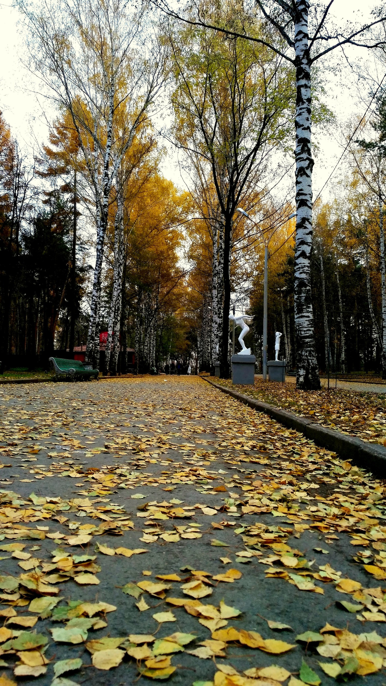 Парк Маяковского Екатеринбург осенью