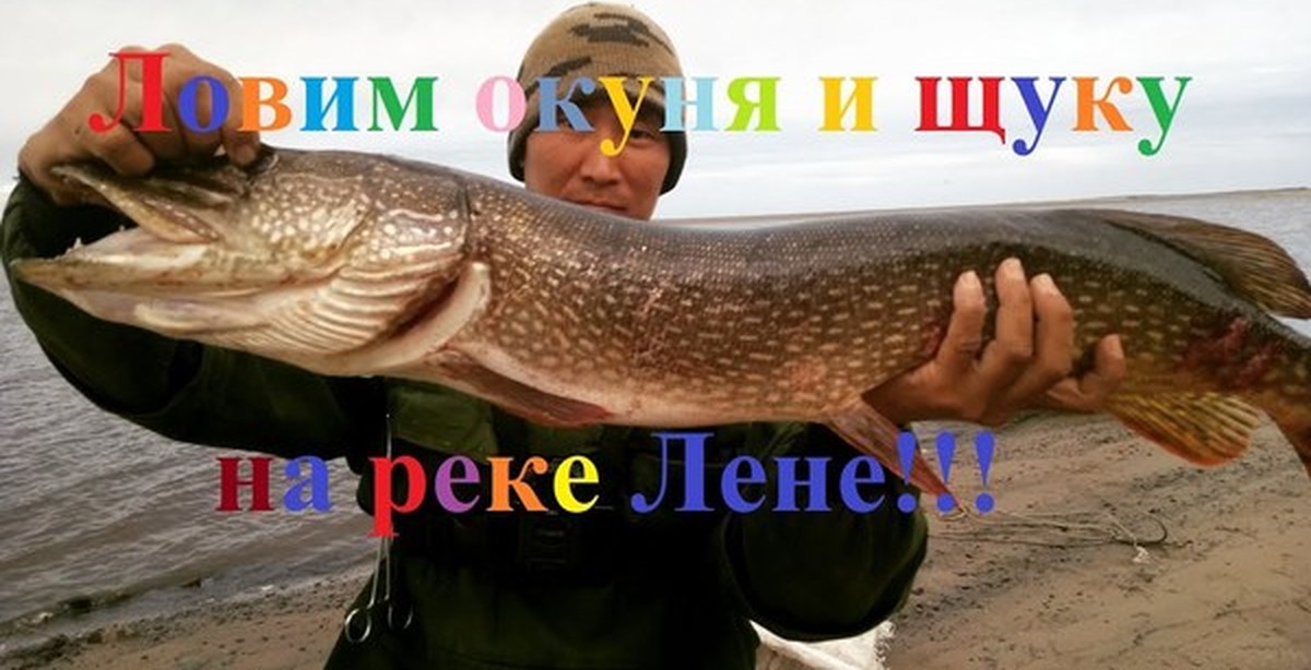на что и как ловить рыбу в якутии на что и как ловить рыбу в якутии