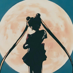 RinaIpse