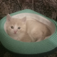 ������ ������������ GhoSTi4eG