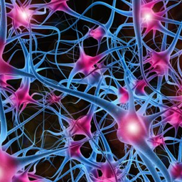 Neurooooon