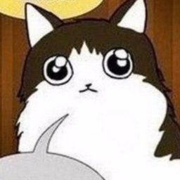 kira.niki