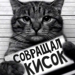 Koksa