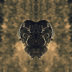 tridcatodin