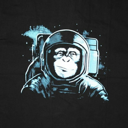 Space monkey. Обезьяна космонавт арт. Space Monkey ашка. Обезьянка астронавт Бойцовский клуб. Обезьяна космонавт Cod mobile.