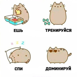 staskol1