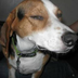 Mitaj