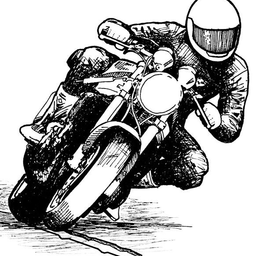 Gonzalez13