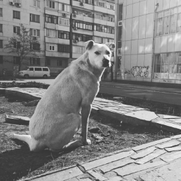 runo