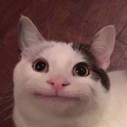 TaTor