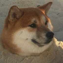 Vargarog