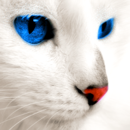 Teero