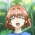 ChiSeko