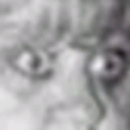 FranticMonkey