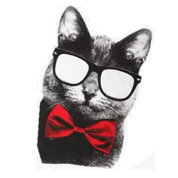 Серый кот с галстуком