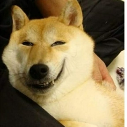 madjahead2