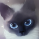 ������ ������������ RainbowOK