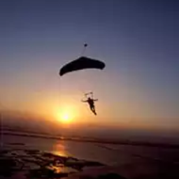 Skydiverus