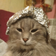 ������ ������������ arkadyexp