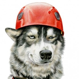 Wolf4el