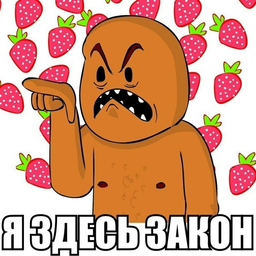 gibiskus