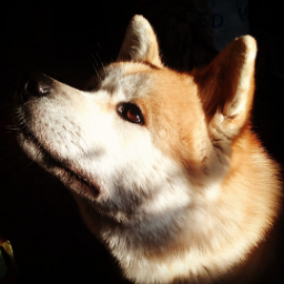 Animenation