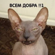 ������ ������������ TolkoZlo666