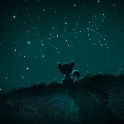 Elly1973cat
