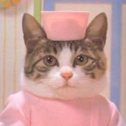 QueenOfThe40Cats