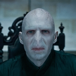 Voldemort40