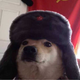 ������ ������������ nordberserk