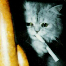 PhenomOfHell