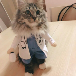 drnikolay