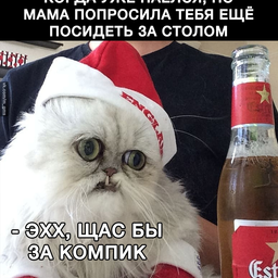 Sammy42