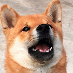 Zarrri