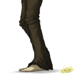 Zallkys