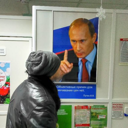 timofeev07