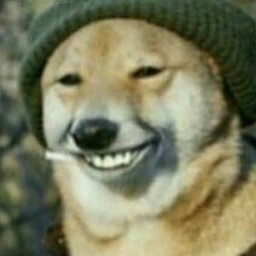 TheWrongHusky