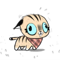 DrunkenRaccoon