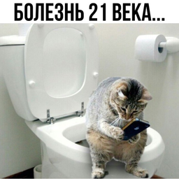 ssvk