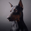Doberman273