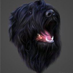 brtdog
